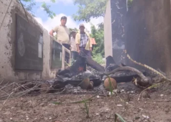 Los vecinos se sorprendieron con el hallazgo