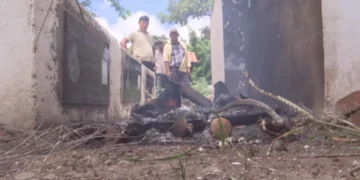 Los vecinos se sorprendieron con el hallazgo