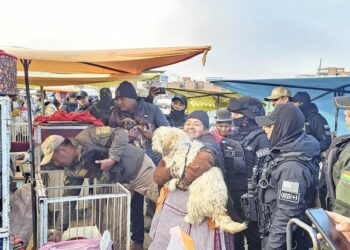 Operativo de Pofoma en la feria del Puente Vela, en El Alto.
