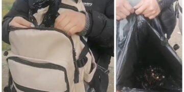 Tres jóvenes profanaron tumbas en el cementerio Mercedario de El Alto; intentaron llevarse dos cráneos.