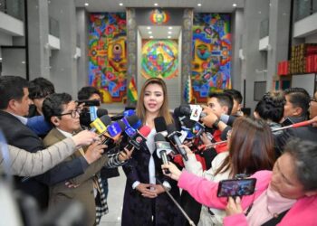 La viceministra Gabriela Alcón habla con la prensa de varios temas.