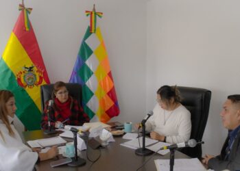Sesión de la Comisión de Ética de la Cámara de Diputados.