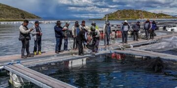 Los productores reciben asesoramiento técnico