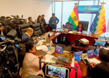 Sesión de la Comisión de Constitución, encabezada por su presidenta Olivia Guachalla.