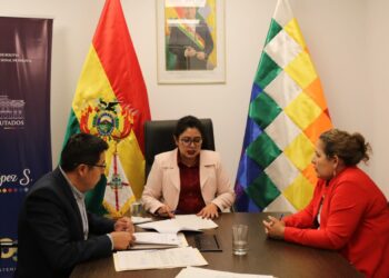 Sesión del Comité de Democracia y Sistema Electoral de la Cámara de Diputados.
