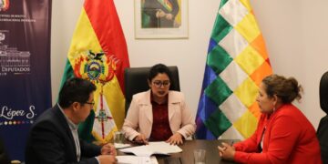 Sesión del Comité de Democracia y Sistema Electoral de la Cámara de Diputados.