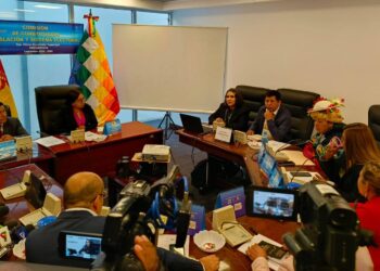 Los vocales del TSE, Tahuichi Tahuichi y Nancy Gutiérrez llegaron hasta la Comisión de Constitución para socializar el proyecto de ley del TREP.
