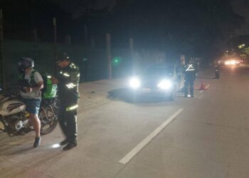 La Policía realizó varios operativos