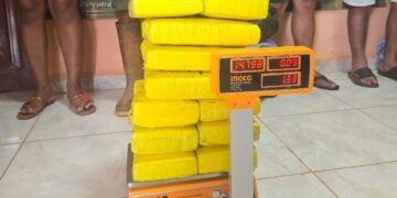 Parte de los paquetes con marihuana decomisados por la FELCN