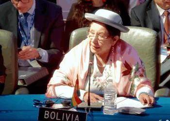 La canciller Celinda Sosa participa en la sesión de la OEA.