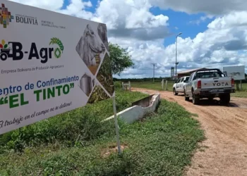 El Tinto