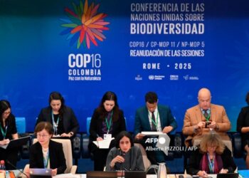 biodiversidad.jpg
