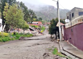 Las viviendas afectadas por el talud.