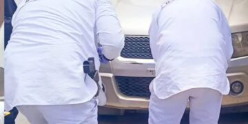 Los peritos del IDIF revisan la vagoneta