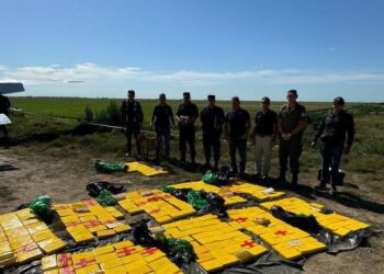 La droga incautada en territorio argentino.