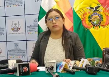 La presidenta de la Comisión de Constitución, Olivia Guachalla (MAS), brinda una conferencia de prensa.