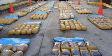 La droga decomisada en el operativo