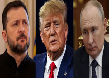 zelenski_trump_putin.jpg