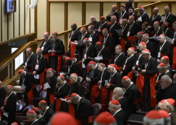 Los cardenales definieron la fecha/ AFP