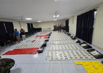 La droga decomisada