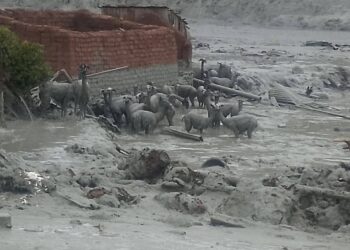 Hay 170 municipios afectados por las lluvias en el país.