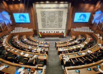 Sesión de la Cámara de Diputados, encabezado por su presidente Omar Yujra.
Foto: Archivo.