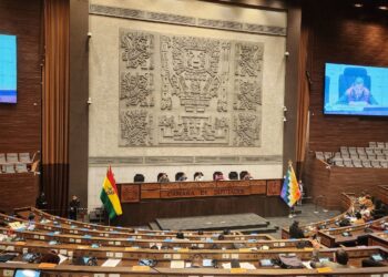 Sesión de la Cámara de Diputados.