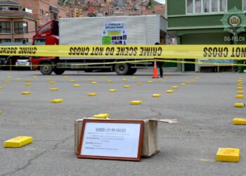 La droga y el camión decomisados