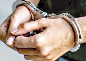 El hijo era dueño de los canes y fue aprehendido