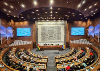 Sesión de la Cámara de Diputados. Foto: Archivo