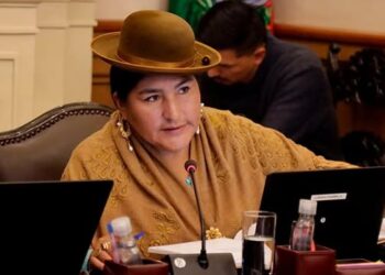 La presidenta del Concejo, Lourdes Chambilla.