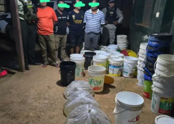 Cuatro personas fueron aprehendidas por tráfico ilícito de peces exóticos. FOTO: Pofoma