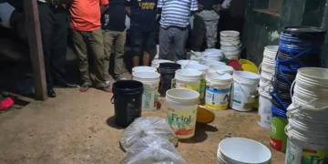 Cuatro personas fueron aprehendidas por tráfico ilícito de peces exóticos. FOTO: Pofoma