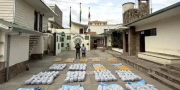 La marihuana decomisada por la FELCN/ FELCN
