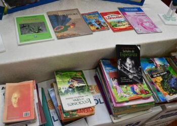 Se busca recolectar al menos 50.000 libros a escala nacional. Foto: Ministerio de Educación.