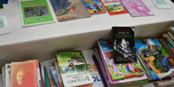 Se busca recolectar al menos 50.000 libros a escala nacional. Foto: Ministerio de Educación.