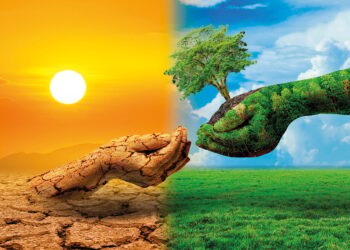 tree in two hands  with very different environments Earth Day or World Environment Day Global Warming and Pollution