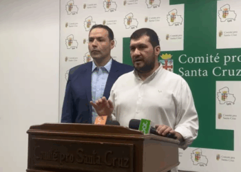 El presidente del Comité pro Santa Cruz, Stello Cochamanidis.