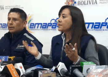 Emapa niega falta de provisión del maíz. Foto: Emapa.