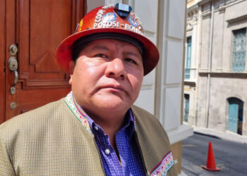 El senador Hilarión Mamani.