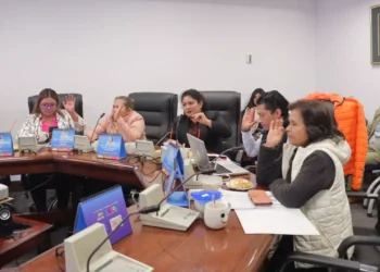 Miembros de la Comisión de Constitución votan para la aprobación del proyecto de ley.
