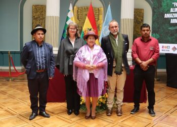 programa