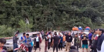 Yungas