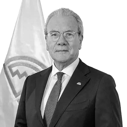 Gonzalo Gutiérrez Reinel
