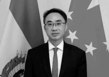 Wang Liang