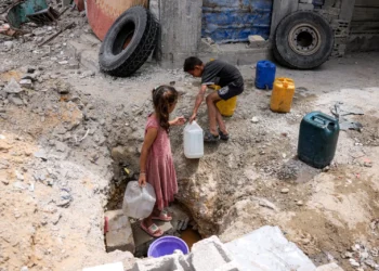 alimentos_en_gaza.jpg