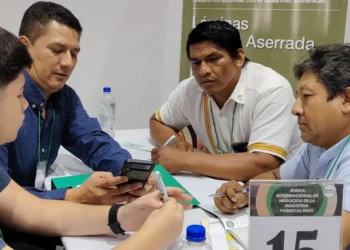 La rueda de negocios de la industria forestal. Foto: CFB