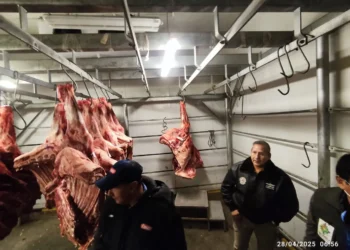 Un operativo para controlar el precio de la carne. Foto: VLCC.