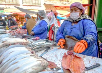Venta de carne de pescado.