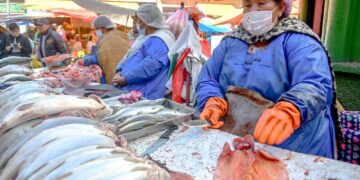 Venta de carne de pescado.